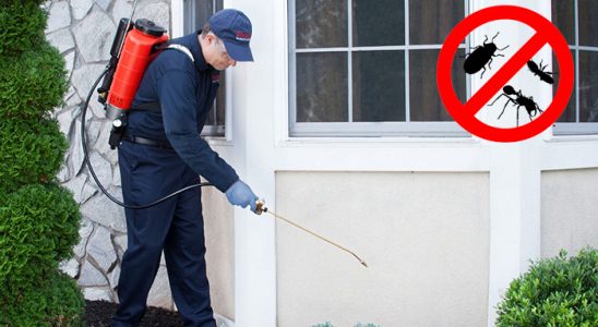 Döşemealtı Tahtakurusu İlaçlama böcek ilaçlama ve haşere kontrolü — ilaclama-tr.com